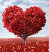 Valentines For Veterans